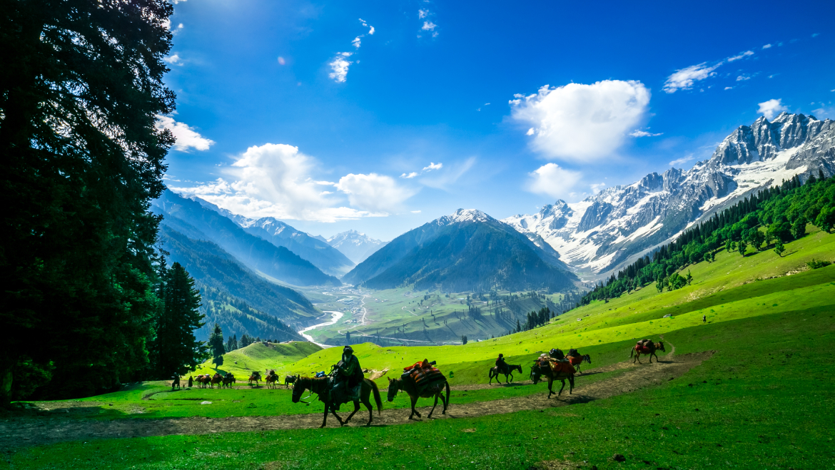 horse riding in kashmir