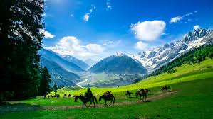 kashmir 1